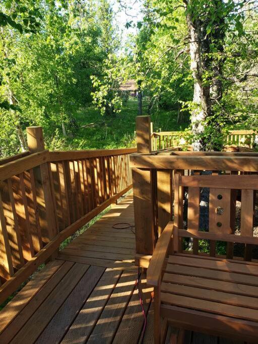 The Eagle'S Nest Treehouse Cabin Palmer Dış mekan fotoğraf