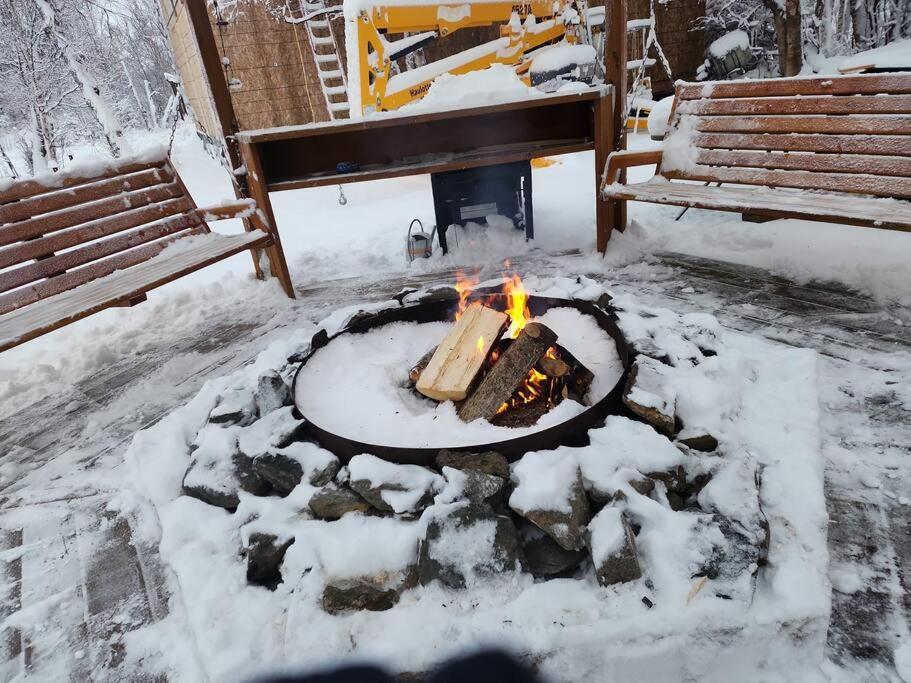 The Eagle'S Nest Treehouse Cabin Palmer Dış mekan fotoğraf